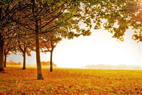 Fall Scenery Backgrounds ·① Wallpapertag