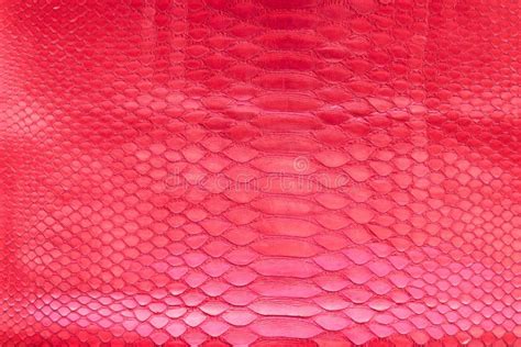 Genuine Python Snakeskin Leather Snake Skin Texture Background Stock