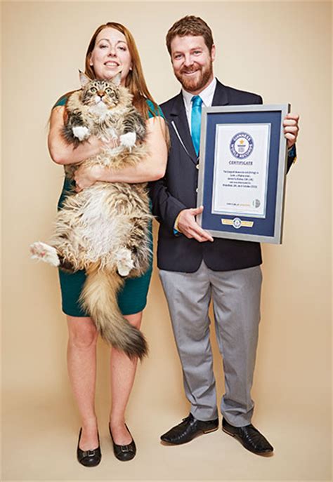 Video Ludo The Worlds Longest Cat Awarded Place In Guinness World