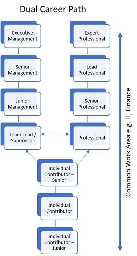 Development Of Employee Career Paths And Ladders Gipca Resource Center