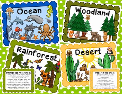 What is the definition of a habitat? Habitat animal; abri animal