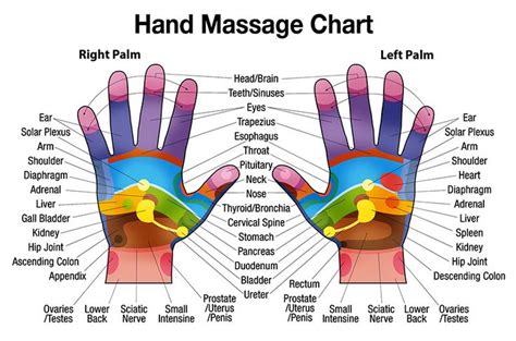 free downloadable hand massage chart for self healing hand reflexology reflexology chart