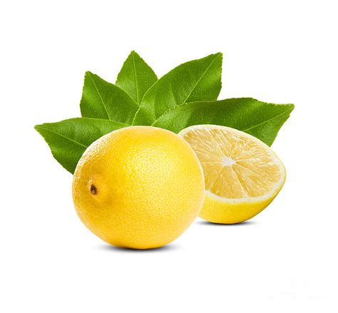 Juicy Fresh Lemon Photograph By Alstair Thane Fine Art America