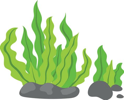 Clip Art Green Background Seaweed Clipart Png Download Full Size