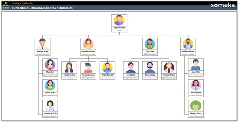 Functional Organizational Structure Free Template