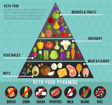 Keto Diet Plan What To Eat And What To Avoid Keto Diet Keto Diet