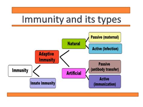 The adaptive immune response is more complex than the innate. Immunity and its types: Innate and Acquired immunity