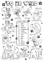 Wild animals esl printable picture dictionary for kids. English Exercises: Wild Animals