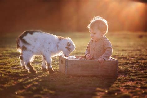 Child Photography With Animals How To Capture Loving Interactions