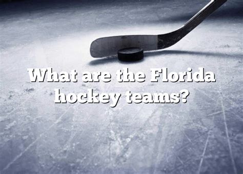 What Are The Florida Hockey Teams Dna Of Sports