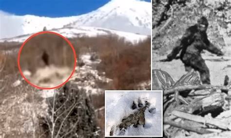 Witnesses Claim To Have Captured Bigfoot On Camera On A Utah