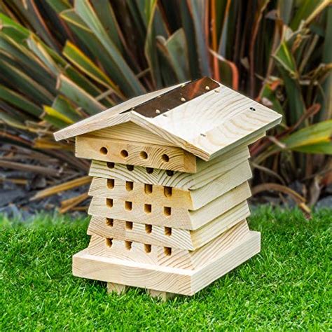 Bee Pollinator Box For Sale Picclick Uk