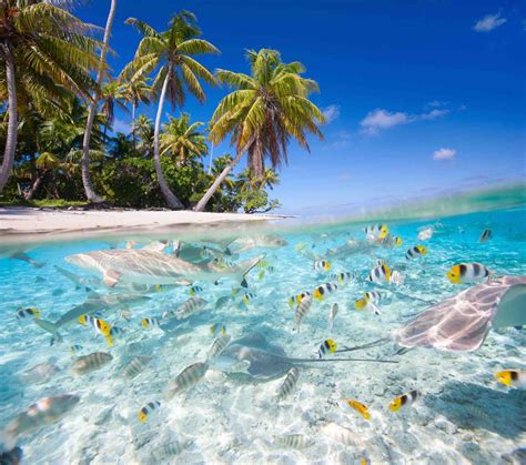 7 Most Amazing Secluded Islands Easy Planet Travel