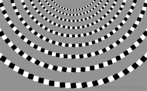 50 Elegant Moving Illusion