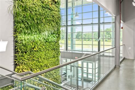 Why Biophilia Matters Greener On The Inside