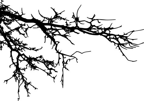 Branch Tree Silhouette Clip Art Tree Branch Png Download 14521027