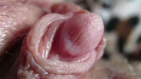 Pulsierende Harte Klitoris In Extremer Nahaufnahme Pornhub