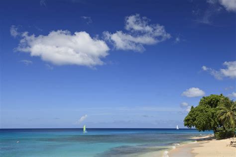 The Best Things To Do On The West Coast Of Barbados