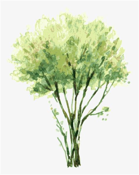 Vector Free Painting Tree Illustration Trees Treetrees Watercolor Trees Png Free Transparent