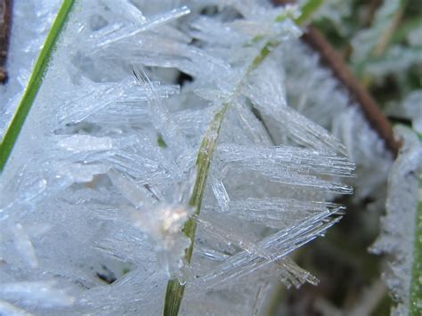 Blue Jay Barrens Ice Crystals