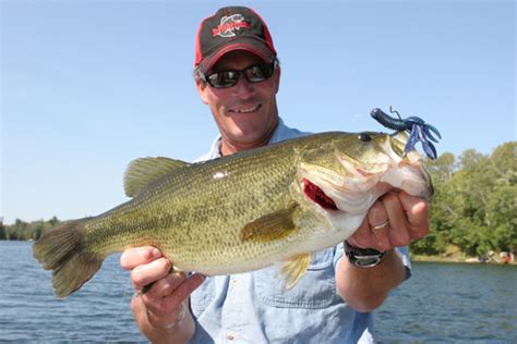 Smallmouth Crankbaits Rivers And Lakes In Fisherman
