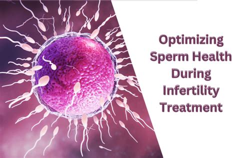 Optimizing Sperm Health During Infertility Treatment Gaudium Ivf