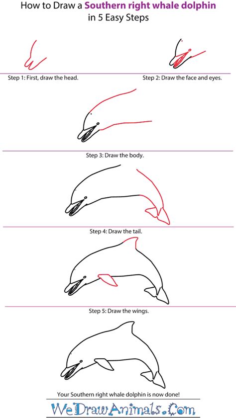 Learn how to draw a dolphin for kids step by step with this elementary drawing tutorial for schoolers and preschoolers. How to Draw a Spinner Dolphin