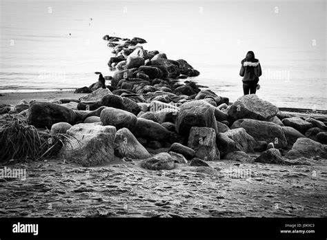 Abbildung Stand Neben Gewässerrand Mit Großen Felsbrocken Stockfotografie Alamy