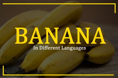 Banana In Sign Language Asking List