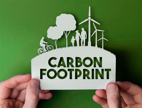 5 Ways To Reduce Your Business Carbon Footprint Quills Uk