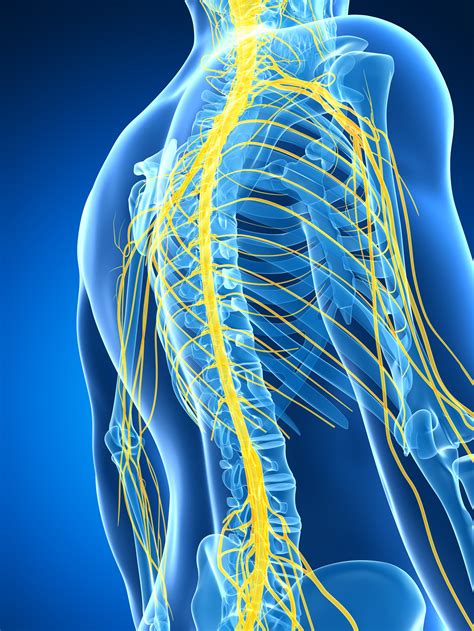 Intercostal Neuralgia Specialist In Tampa Florida — Tampapainmd