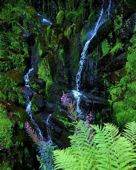 Water Cascades Down The Famous Bergpark Watercourse In Kassel Germany