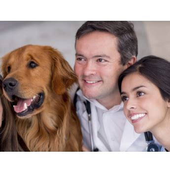 People, pets & vets | farmers branch, tx. Vet & Pet Jobs