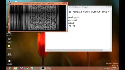 How can i infect a computer with a virus, so that the virus starts working after a restart and not right away? how to remove viruses without antivirus using cmd - YouTube