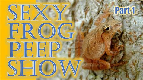 the scandalous sex lives of spring peepers part 1 youtube