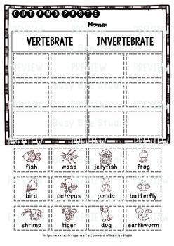 Lesson plan of classification & characteristics of animals. Vertebrates and Invertebrates Sorts | Cut and Paste Worksheets | TpT