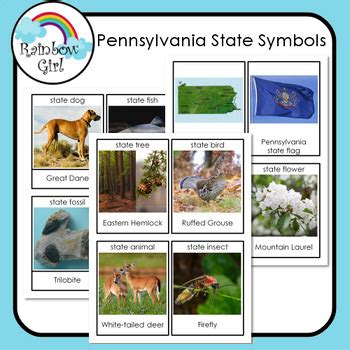 Pennsylvania State Symbols By Rainbow Girl Teachers Pay Teachers