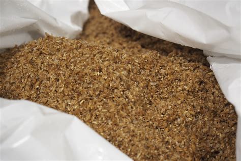 Can you replace malt barley grain flour with spent grains? — The Spent Goods Company