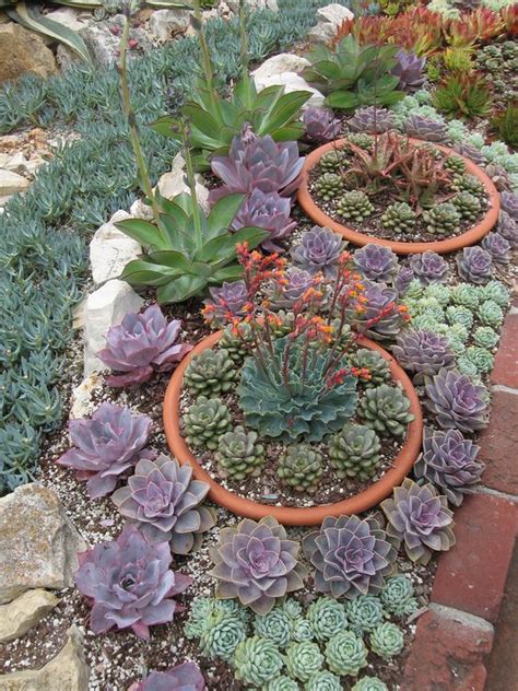 To achieve this, i started with digging most of the soil out of the garden bed and filling the bottom of the raised bed. Tips to Grow Succulents Outdoors