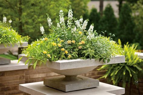 Container Gardening Types Of Containers Hgtv