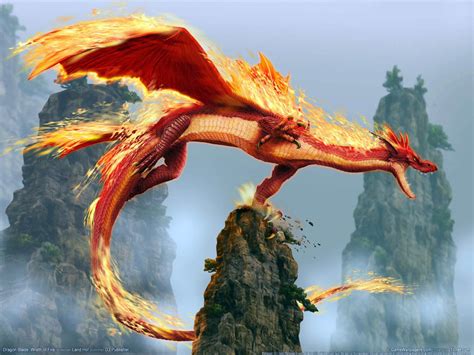 Dragon Mythical Creatures Wallpaper 28643407 Fanpop