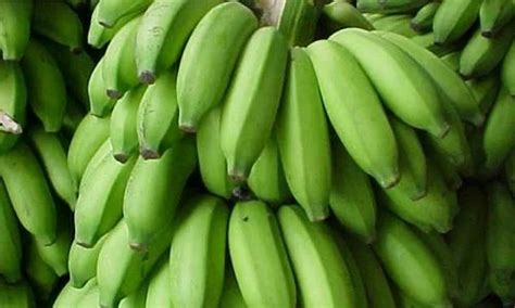 Fresh Banana Kadali Variety At Rs 50kilogram Bananas In Erode Id