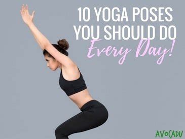Yoga Poses You Should Do Every Day Avocadu