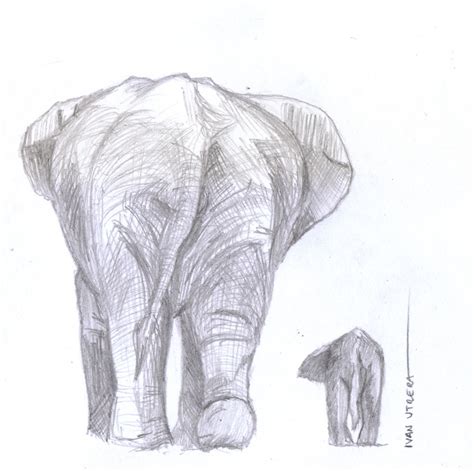 Elefante A Lapiz Por Ivanutrera Dibujando