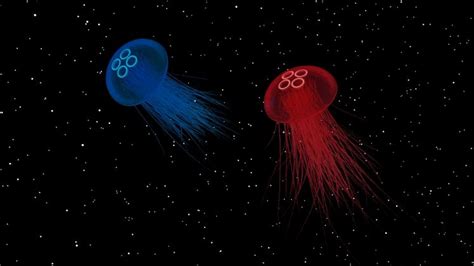 Does not ignore all the math the way my basics of space flight website∗ to betsy wilson for lots of help with the te. jellyfish, Space Wallpapers HD / Desktop and Mobile ...