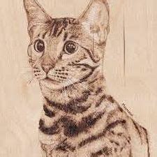 To draw the interior lines of the grid, i divided those measurements in half. The 4 Best Ways to Draw a Cat - wikiHow