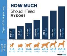 The larger the breed, the. Blue Buffalo Large Breed Puppy Food Feeding Chart | Large ...
