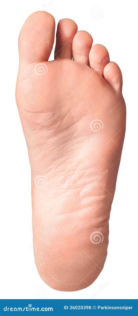 Isolated Foot Sole Royalty Free Stock Photos Image 36020398