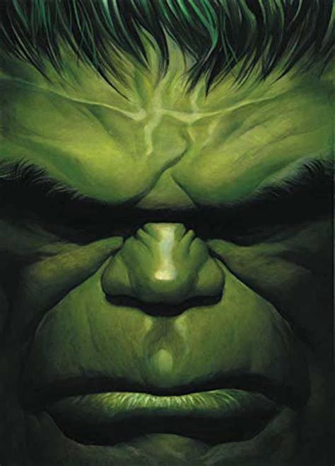 Immortal Hulk By Alex Ross Poster Book Alex Ross Skroutzgr
