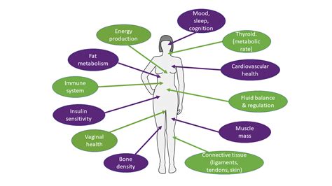 About Hormones The Healthy Hormone Naturopath